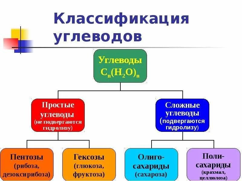 Сахариды подвергающиеся гидролизу. Классификация углеводов. Углеводы подвергаются гидролизу. Углеводы классификация углеводов. Гидролизу подвергается глюкоза рибоза целлюлоза