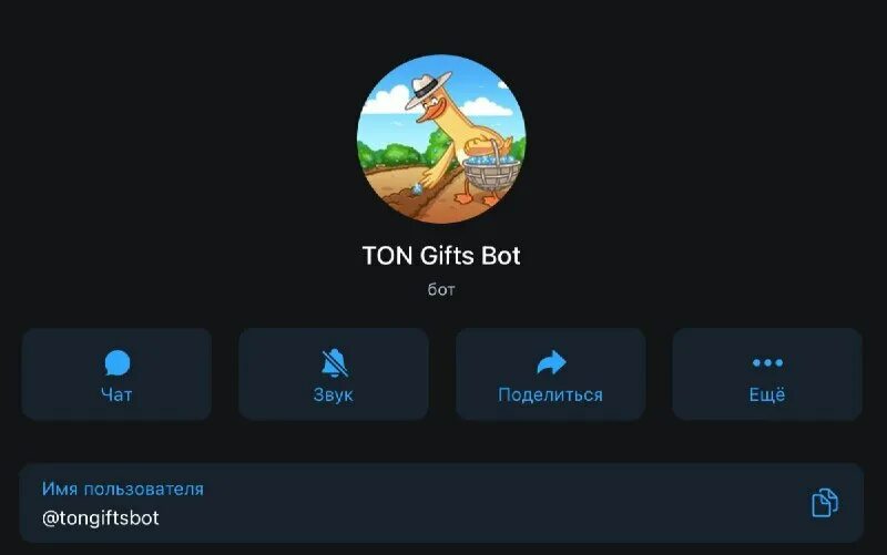 Бот который найдет ответы. Бот в телеграмме для поиска людей по фото. Бот металлоинвест. Hr bot металлоинвест. Номер телефона бота.