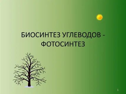 Фотосинтез 9 класс биология презентация