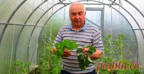 Опытный агроном