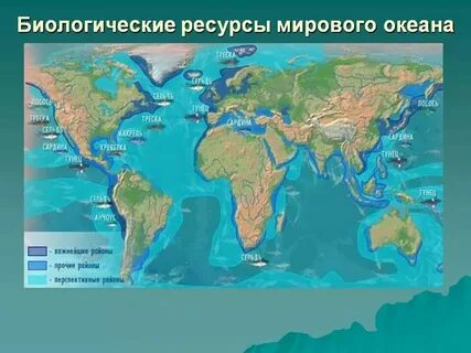 Какое море самое большое в мировом океане