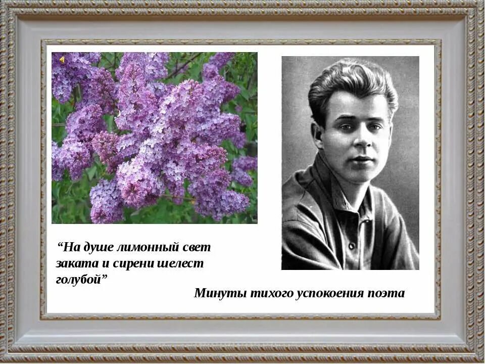 Есенин сирень. Стихи Есенина про сирень. Стихи про сирень Есенин. Стихи про сирень русских поэтов.