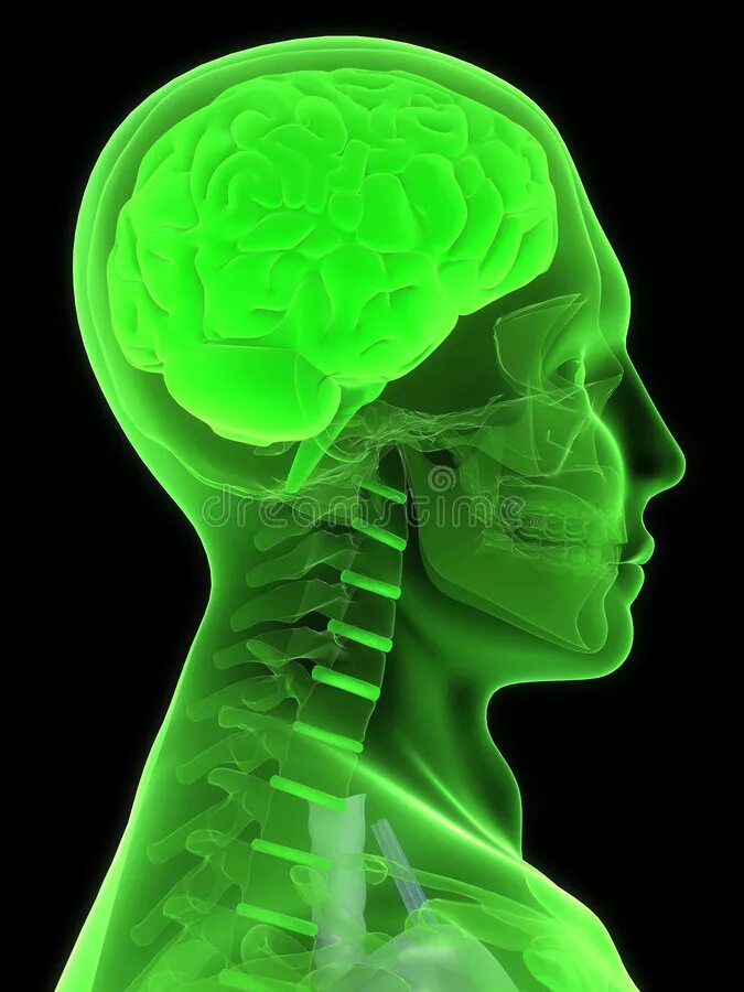 Green brain. Зеленый мозг. Мозг зеленого цвета.