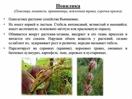Как с ней бороться 1