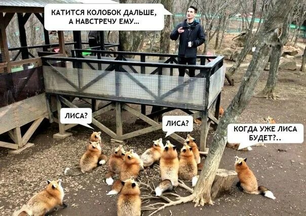 А навстречу лиса. Фрагмент сказки колобок. Сказка колобок лиса. Лиса съела колобка. Рнс колобок.