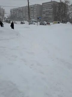 Снежный петрозаводск