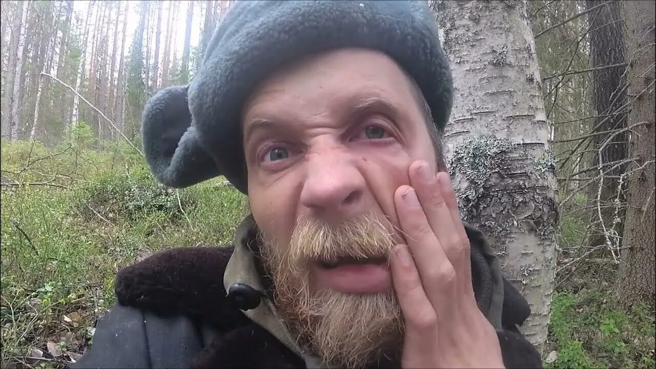 Хожу брожу по тайге. Брожу по тайге. брожу по тайге последнем видео. брожу по тайге ютуб канал.
