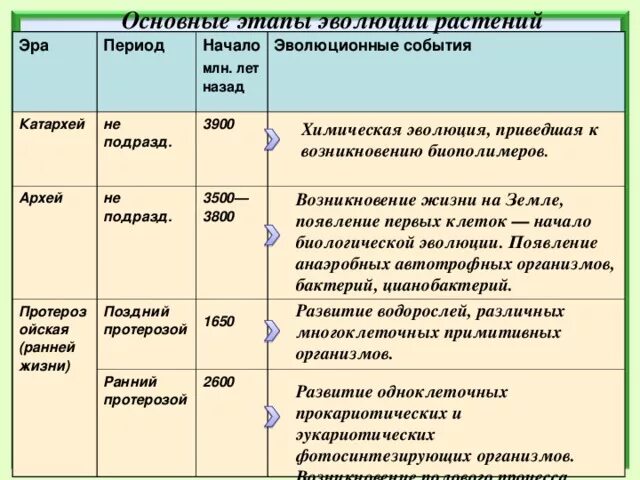 Начальный этап развития жизни биология. Катархей Эра таблица. Этапы развития Катархей. Период катархейской эры таблица. Этап Катархей.