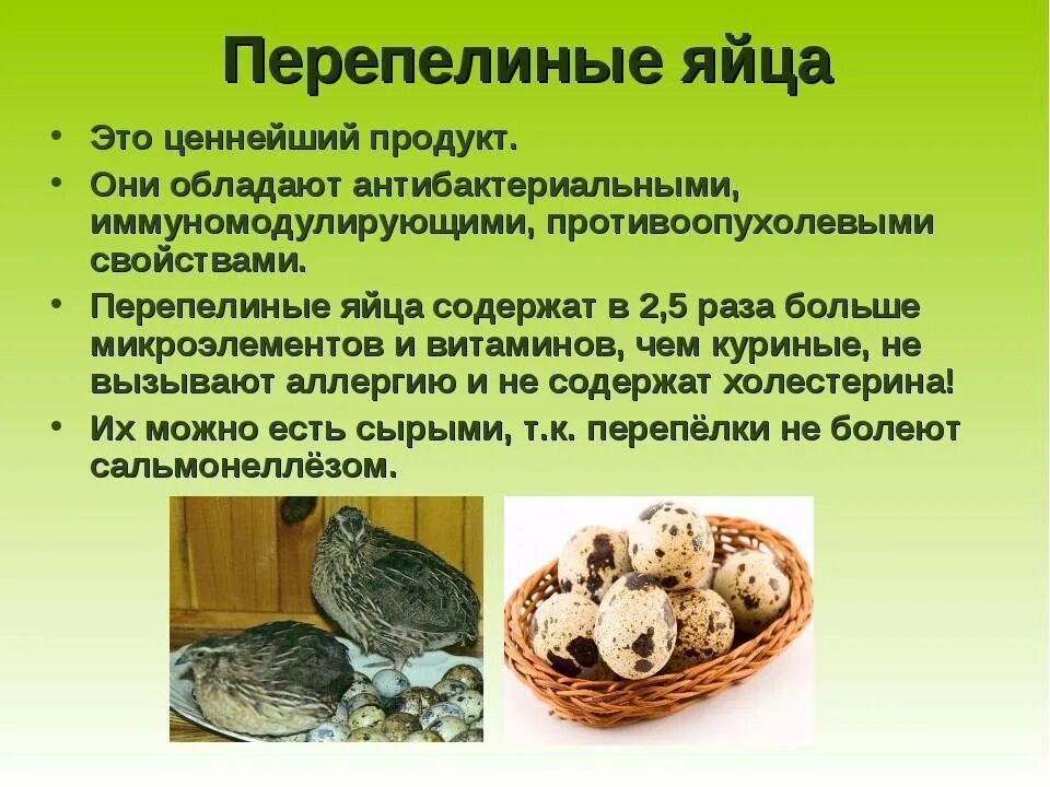 Почему перепелка несет