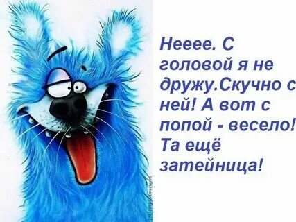 Когда в делах я от веселий прячусь