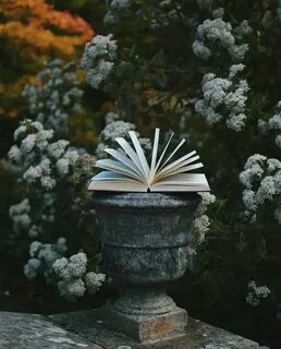 Эстетик книги