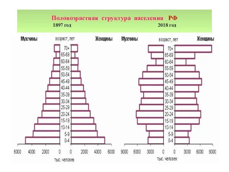 Как изменилась численность и состав населения кубани. Возрастно-половая структура населения России. Половозрастная структура населения России. Возрастно половой состав населения России.