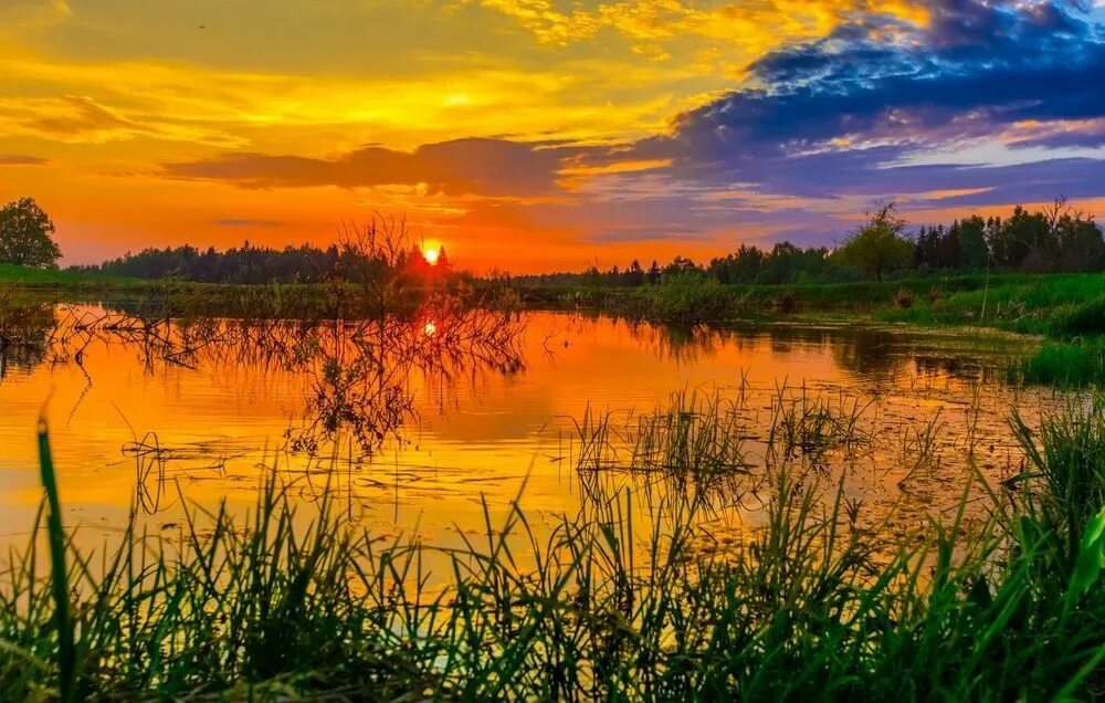 Красивый рассвет. Пейзаж рассвет. Природа рассвет. Самая красивая заря. Природа рассвет.