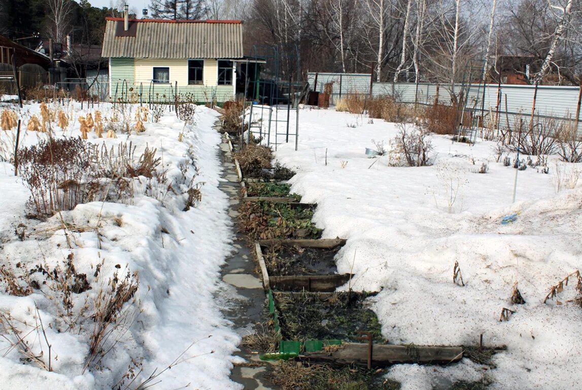 Зимний ландшафт. Огород зимой. Сад ранней весной. Садовый участок зимой. Зимний огород.
