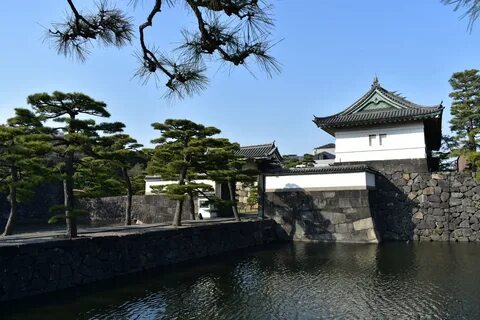 A dog lives in the imperial palace