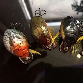 Приманка амуру