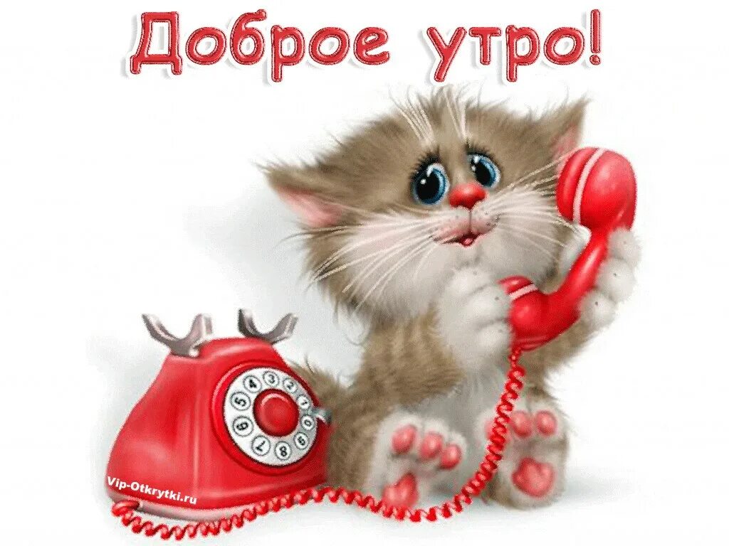 Тик ток доброе утро. Поздравления открытки тик ток. Тик ток открытки с добрым утром. Тик ок поздравления мем. Прикольные пожелания с добрым утром музыкальные.