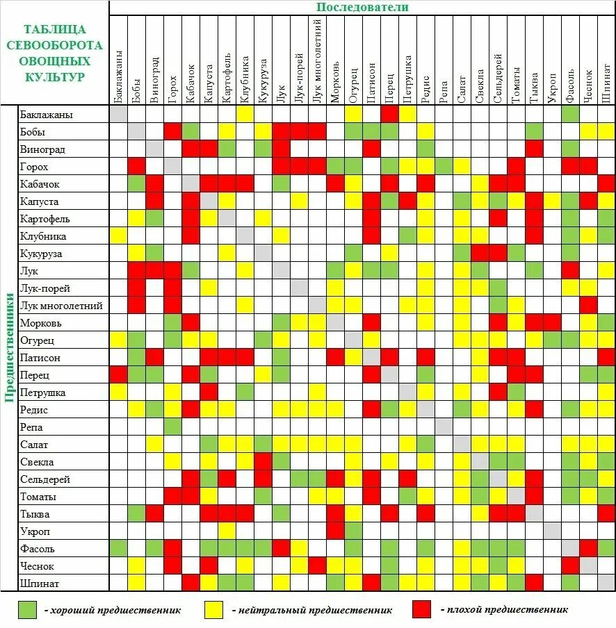 Таблица соседства на грядках. Таблица чередования посевов овощей в огороде. Таблица севооборота на огороде предшественники овощных. Посадка овощей предшественники таблица. Совместимость посадок овощей на грядках таблица.