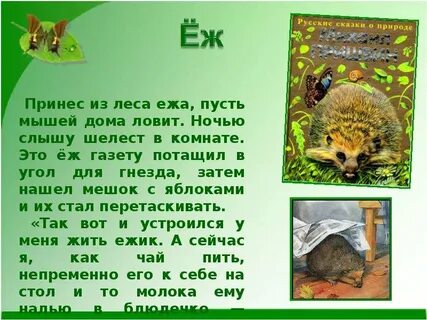 Придумай рассказ про ежика