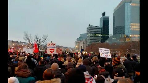 Вена против