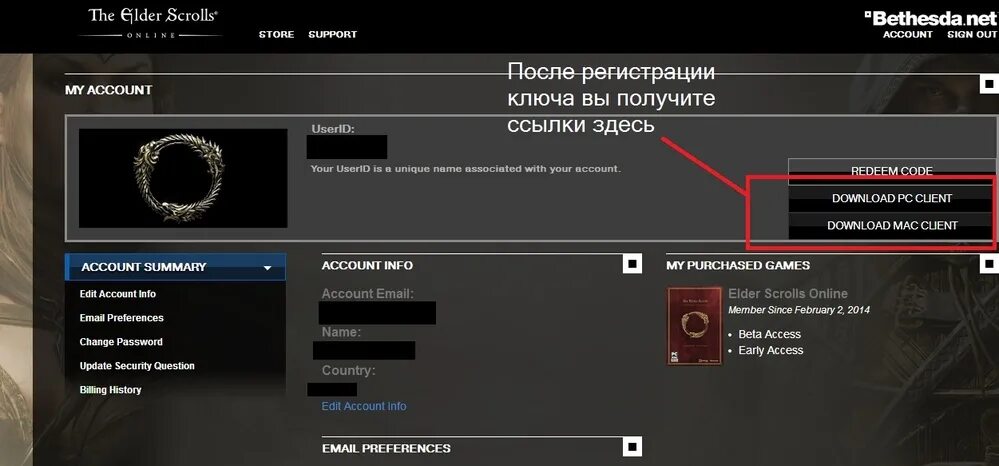 Как подключить pico к steam. Как подключить pico к steam