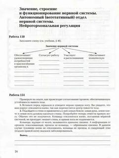Как происходит согласование работы отделов нервной системы