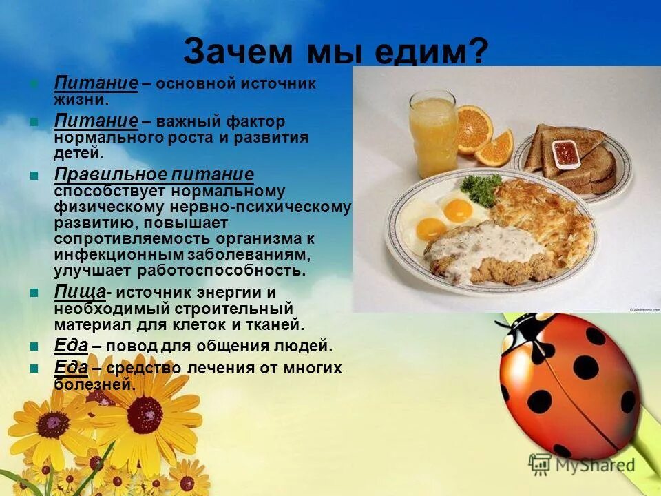 полезные продукты питания. питание способствует. что есть при стрессе. питание способствует. основы рационального питания.
