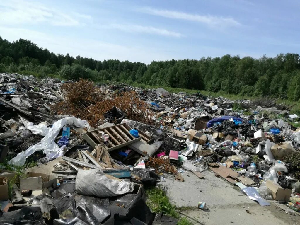 Тбо города. Мусорные свалки п. Свалка Уралов. Свалки в Москве и Московской области. Свалки в городах России.