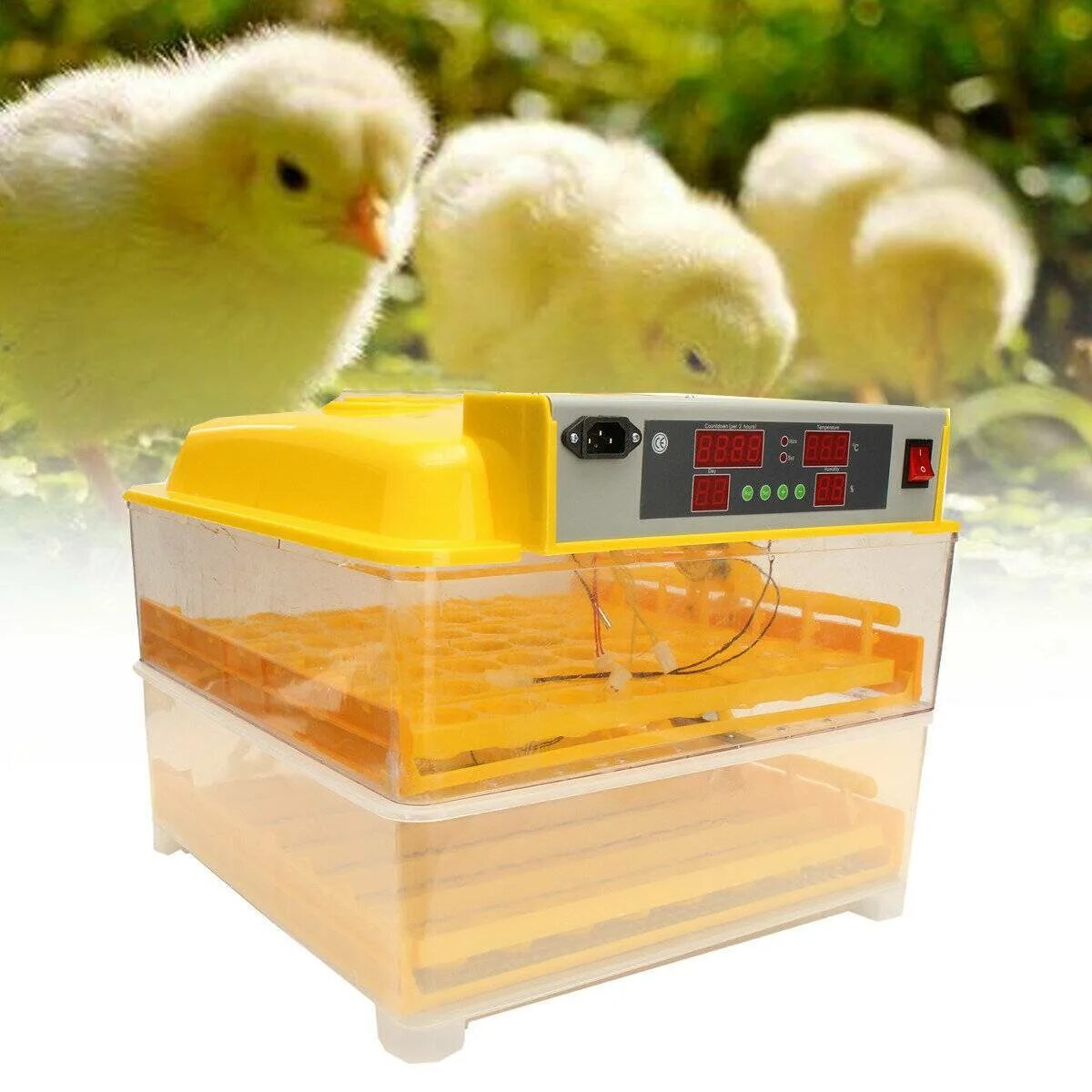 Инкубатор для птенцов. Инкубатор &quot;wq-24&quot;. fully automatic egg incubator. инкубатор для яиц автоматический блиц. цыплята в инкубаторе.
