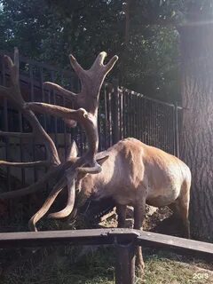 Казанский зооботанический сад ул хади такташа