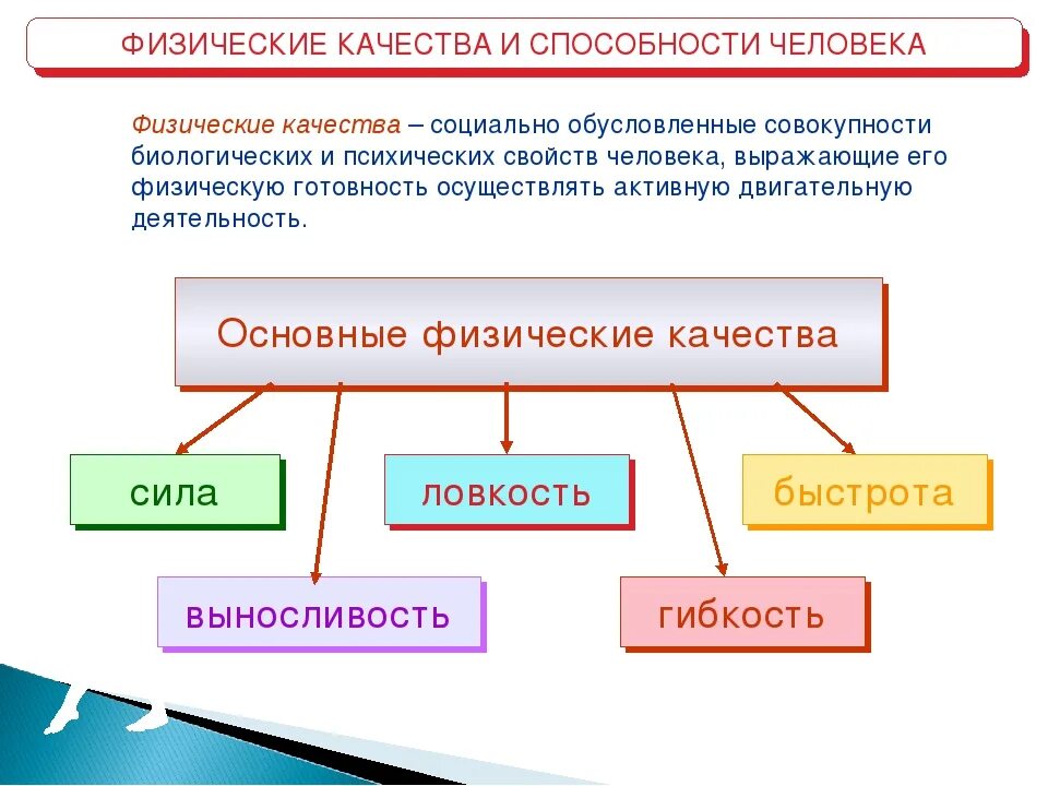 Дать определение физическим качествам. Перечислите основные физические качества. Физические качества личности человека. Назовите 5 основных физических качеств. Физические качества человека и их развитие.