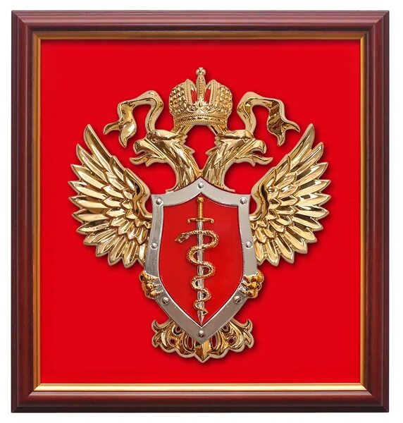 Гос наркоконтроль. Эмблема наркоконтроля мвд рф. герб фскн. госнаркоконтроль федеральная служба рф. герб фскн россии.