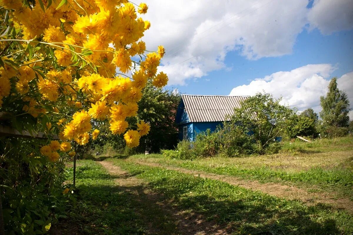 Солнечные дни домашний. Дом с подсолнухами. Цветы на окне. Солнечные дни домашний. Деревне.