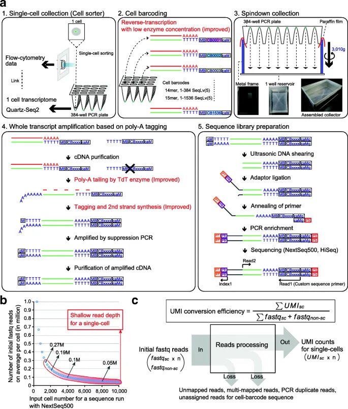 Single cell sequencing. Single-cell rna sequencing. как читать сиквенс?. seq2seq. flow cytometry analysis dublets single cells.