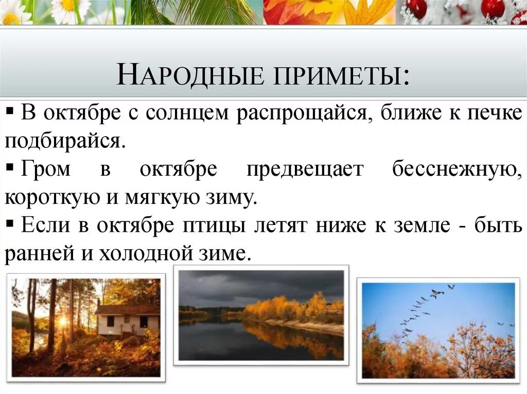 Народные приметы. Народные приметы приметы. Приметы октября. Природные приметы.