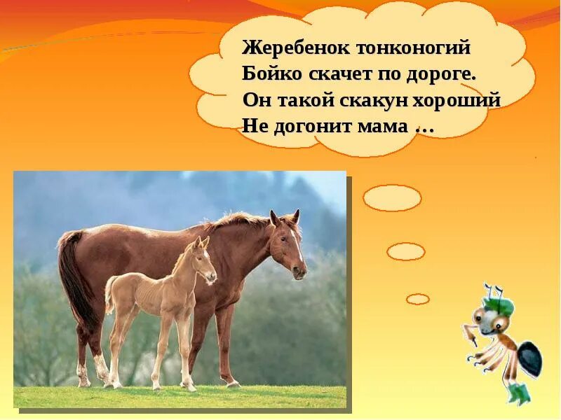 Детеныш лошади как называется. Кличка жеребенка. клички животных жеребенок. лошади и жеребята презентация. жеребёнок синоним.