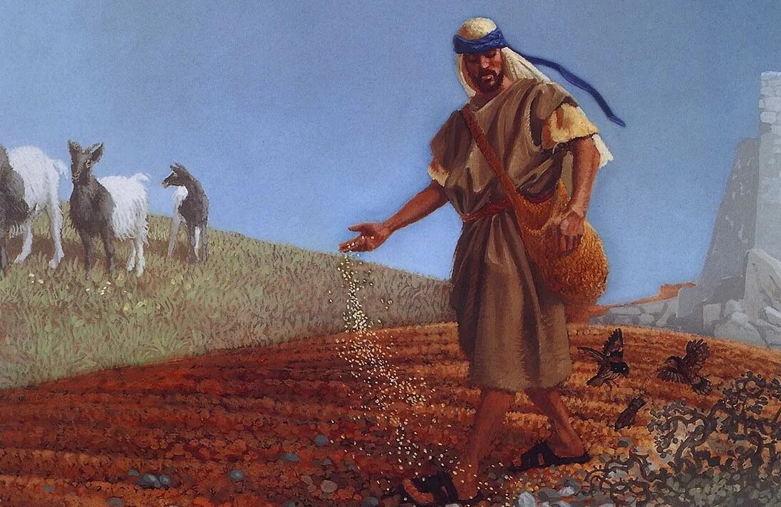 кому на руси жить хорошо. посеянное зерно. весенние работы 1 класс окружающий мир. владелец потчевать засеянный горшочек. сеют пшеницу.