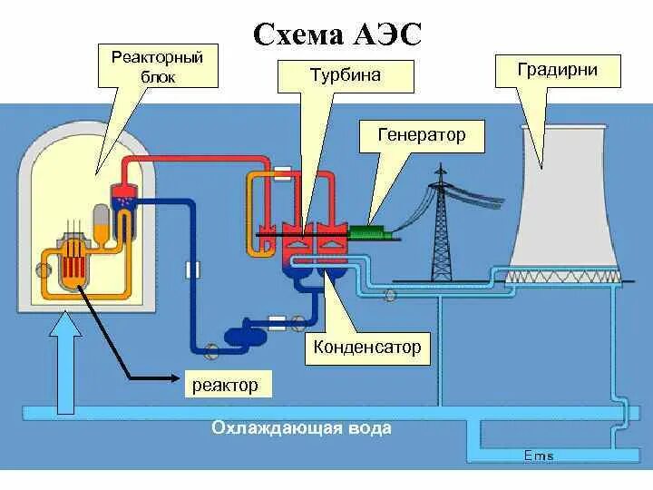 С легким паром после пуска аэс. Схема работы ядерной электростанции. Схема работы атомного реактора на АЭС. Принцип действия атомной электростанции. Принцип работы атомной электростанции схема.