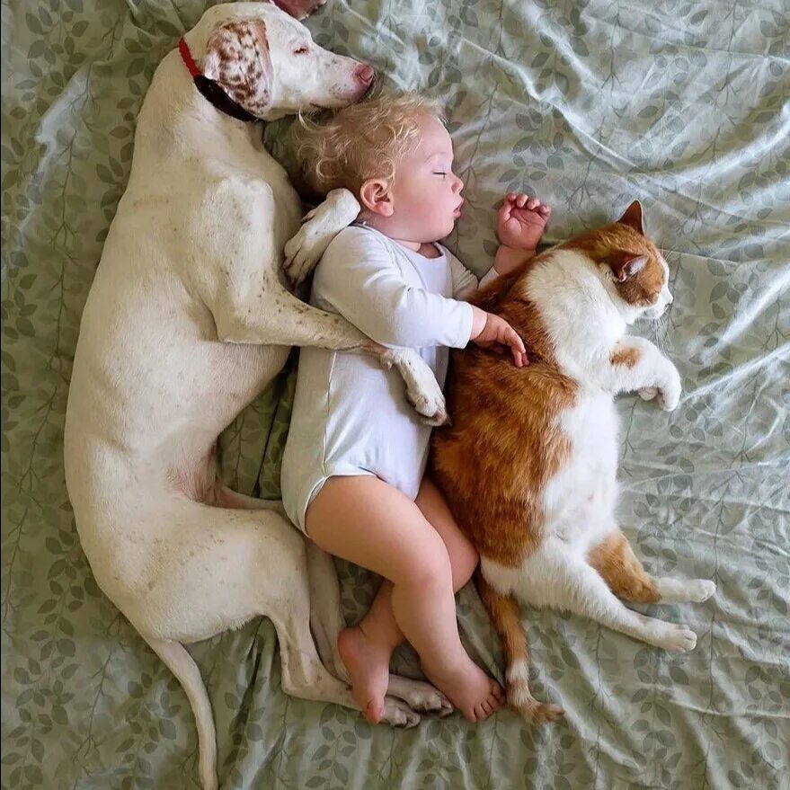 Pin by Barabas on szmajlik Cute big dogs, Dogs and kids, Baby dogs