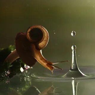 But drop