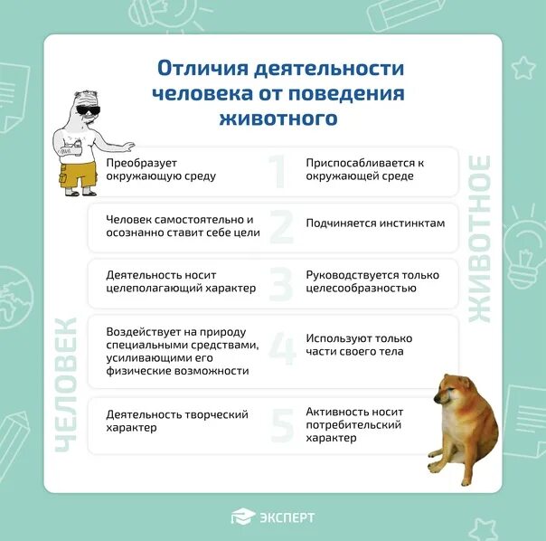 Что отличает человека от поведение животных. Что отличает человека от поведение животных