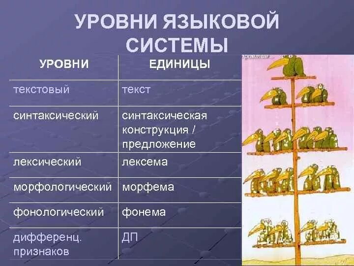 Единицы языка уровни языковой