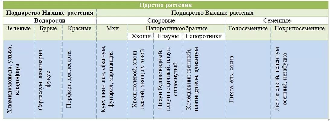 Таблица основные виды растений. Царство растений 5 класс биология таблица. Таблица по биологии 5 класс царство растений. Царство растений таблица группа растений. Царство растений 6 класс биология таблица.