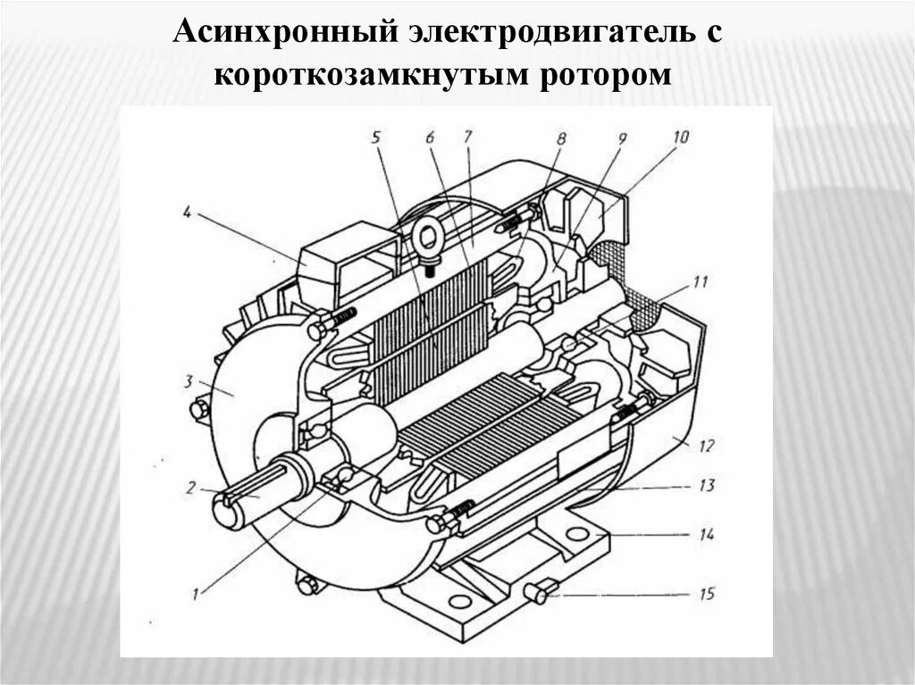 Аир устройство. Электродвигатель асинхронный НВА-55. Асинхронный двигатель с короткозамкнутым ротором 4а200м2у3. Чертеж трехфазного асинхронного двигателя. Чертеж асинхронного двигателя с короткозамкнутым ротором.