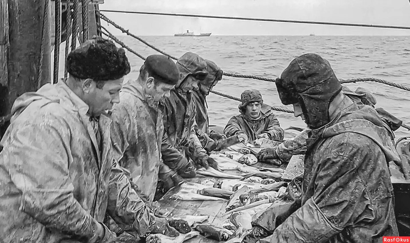 рыболовные промыслы. рыбный промысел в норвегии. рыболовное браконьерство. осетр белуга стерлядь севрюга. история рыбалки.