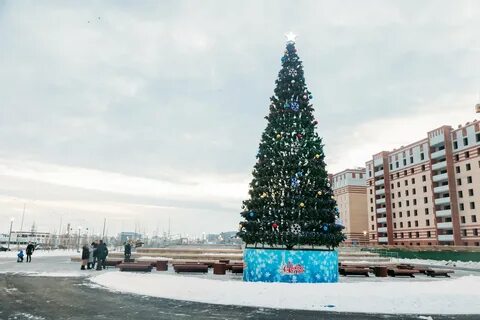 Ели тюмень