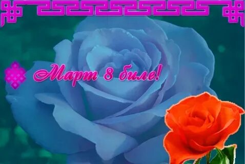 Март 8 биле байыр чедириишкини
