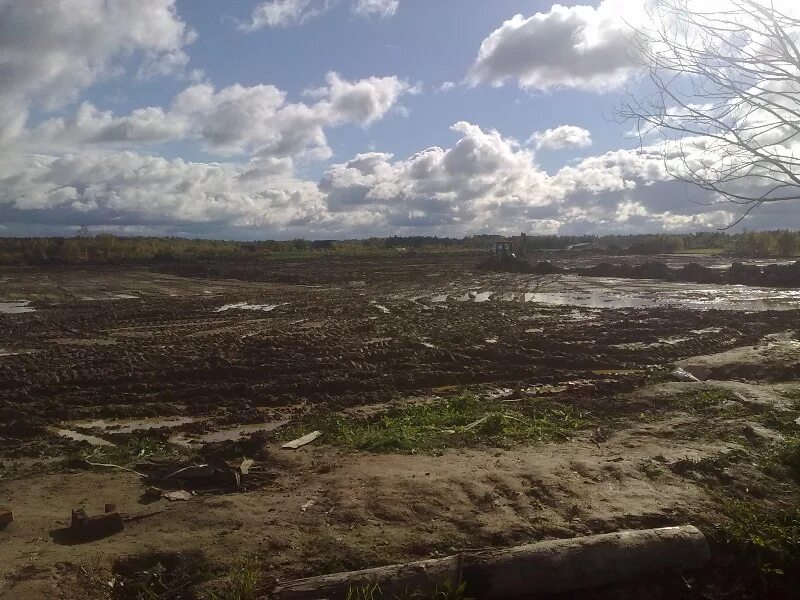 В низине расстилался. Урочище Симоногонт. Свалка в Низино. Лучезарная Долина Низино. Деревня Низино.