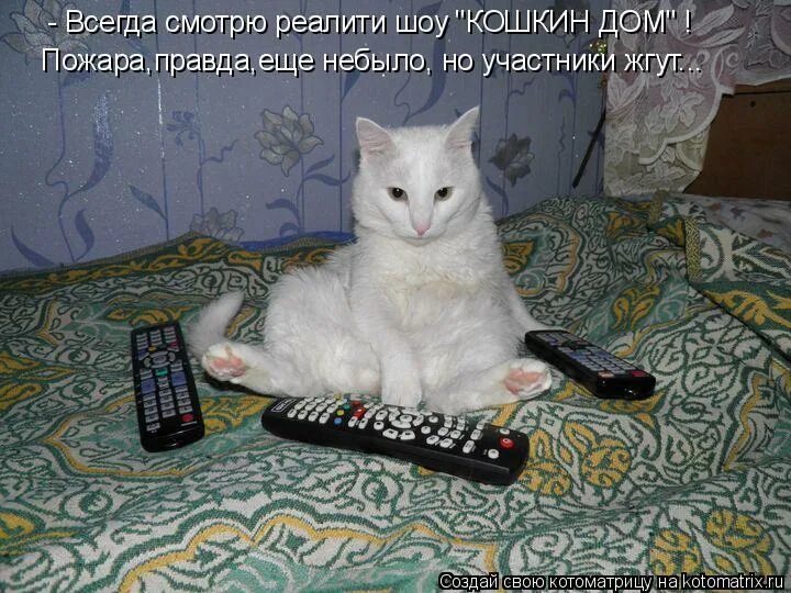 Катя не катит света не светит люба не любит а наташа всегда молодец. Да. Стикеры майор гром чумной доктор. Я всегда права. Всегда говори да постер.