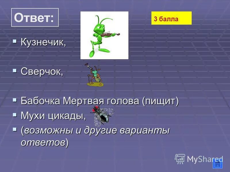 Информатика лягушка и кузнечик ответ. Загадка бел как вата мягко как шерсть легко как перо. Трещит а не кузнечик летит а не птица везёт а не лошадь. Трещит а не кузнечик летит а не птица везёт. Трещит а не кузнечик.